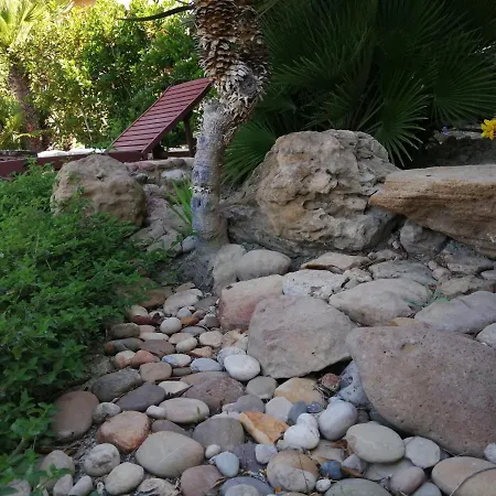 Venere 雷阿尔蒙特