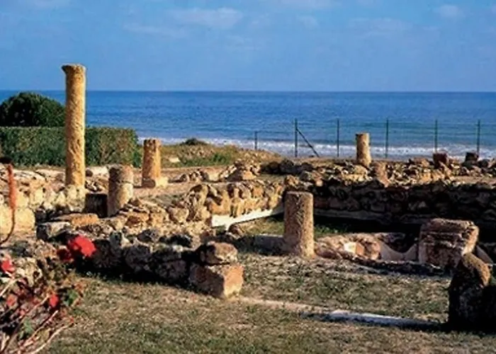 Venere * 雷阿尔蒙特